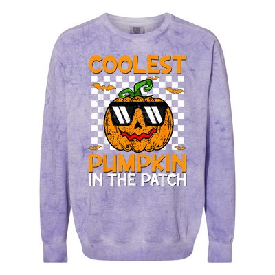 Coolest Pumpkin In The Patch Outfit Halloween Colorblast Crewneck Sweatshirt