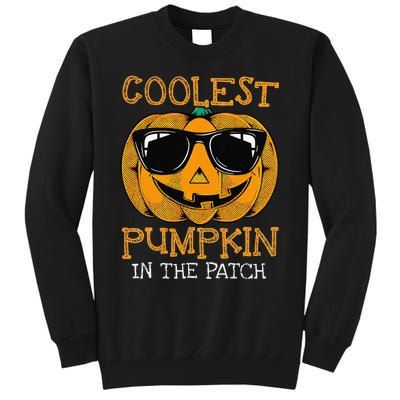 Coolest Pumpkin In The Patch Halloween Tall Sweatshirt