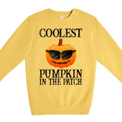 Coolest Pumpkin In The Patch Funny Halloween Premium Crewneck Sweatshirt