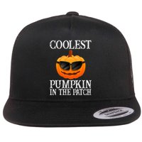 Coolest Pumpkin In The Patch Funny Halloween Flat Bill Trucker Hat
