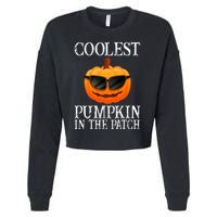 Coolest Pumpkin In The Patch Funny Halloween Cropped Pullover Crew