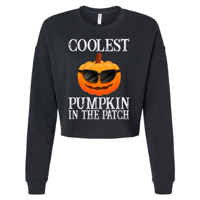 Coolest Pumpkin In The Patch Funny Halloween Cropped Pullover Crew