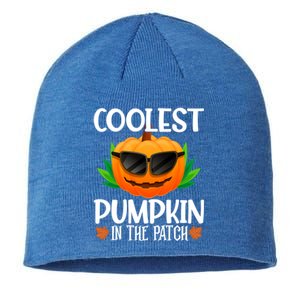 Coolest Pumpkin In The Patch Sunglasses Pumpkin Halloween Gift Sustainable Beanie