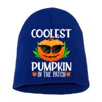 Coolest Pumpkin In The Patch Sunglasses Pumpkin Halloween Gift Short Acrylic Beanie