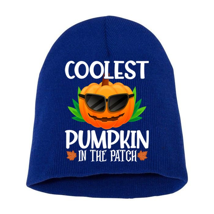 Coolest Pumpkin In The Patch Sunglasses Pumpkin Halloween Gift Short Acrylic Beanie