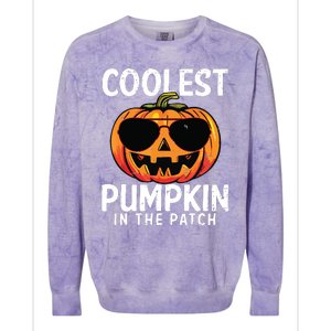 Coolest Pumpkin In The Patch Toddle Boy Halloween Kids Colorblast Crewneck Sweatshirt