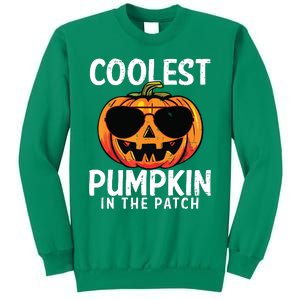 Coolest Pumpkin In The Patch Toddle Boy Halloween Kids Sweatshirt