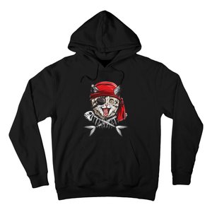 Cat Pirate Jolly Roger Flag Skull And Crossbones Hoodie