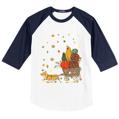 Corgi Pumpkin Leopard Dog Lover Fall Leaves Thanksgiving Gift Baseball Sleeve Shirt