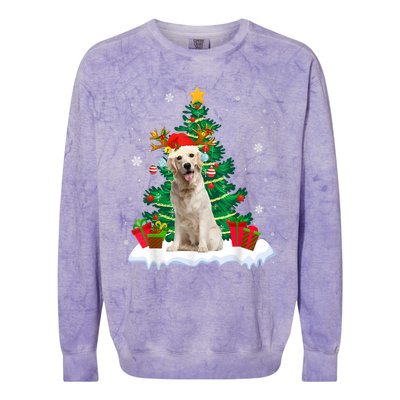 Christmas Pajama Labrador Retriever Tree Xmas Dog Dad Mom Cute Gift Colorblast Crewneck Sweatshirt