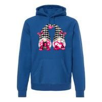 Cute Pink Lesbian Valentines Day Gnomes For Her Funny Love Great Gift Premium Hoodie