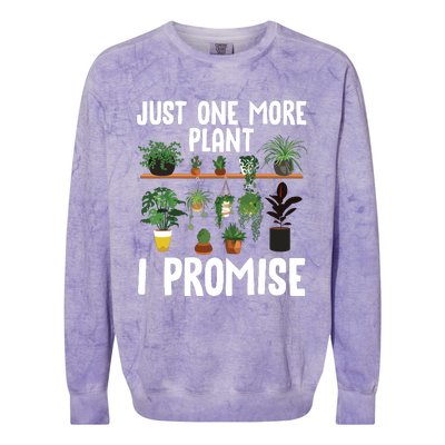 Cool Plant Lover Art For Women Garden Florist Gardening Colorblast Crewneck Sweatshirt