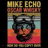 Cat Pilot Mike Echo Oscar Whisky How Do You Copy Visor