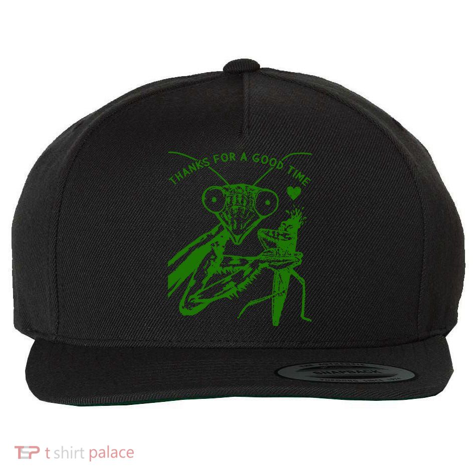 Cute Praying Mantis Love Funny Praying Mantis Wool Snapback Cap