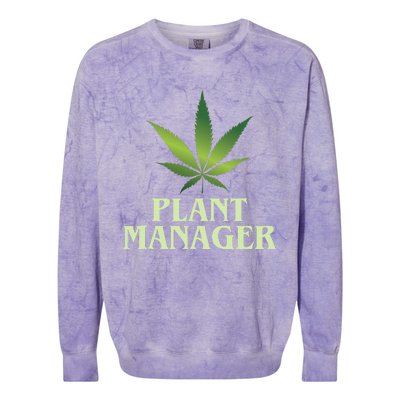 Cannabis Plant Manager Funny Marijuana Gift Colorblast Crewneck Sweatshirt