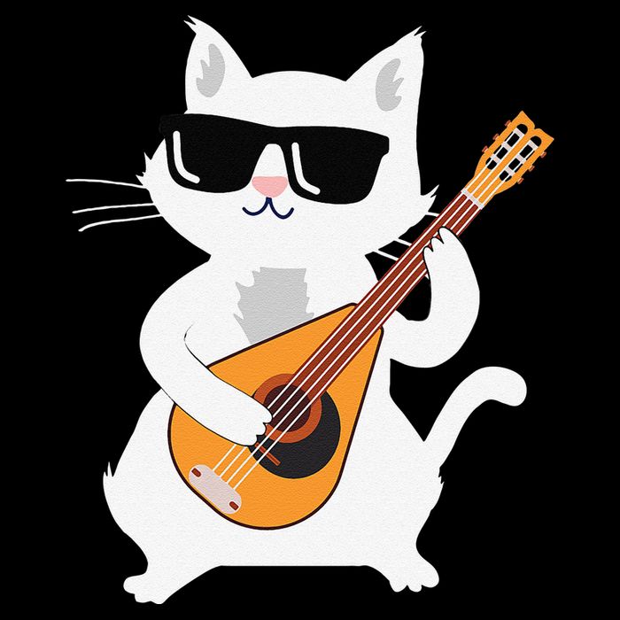Cat Playing Mandolin 16 in Basic Backpack
