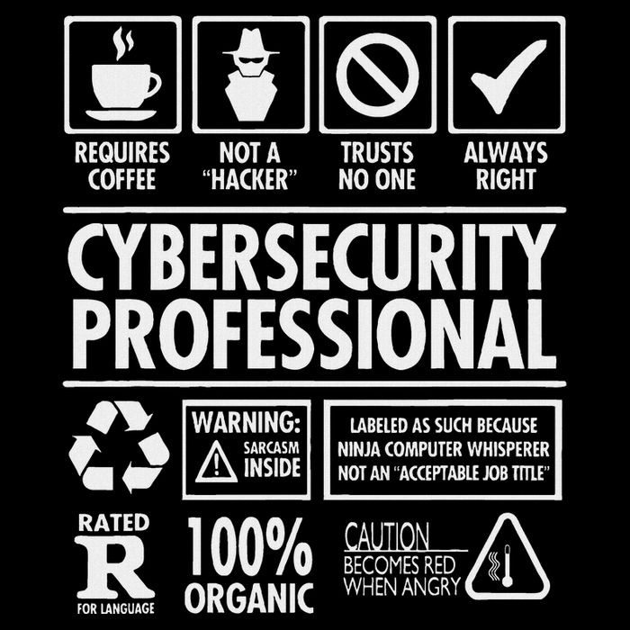 Cybersecurity Professional Not A Hacker Funny Job Hoodie