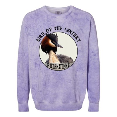 Cute Puteketeke New Zealand's Bird of the Century Flower  Colorblast Crewneck Sweatshirt