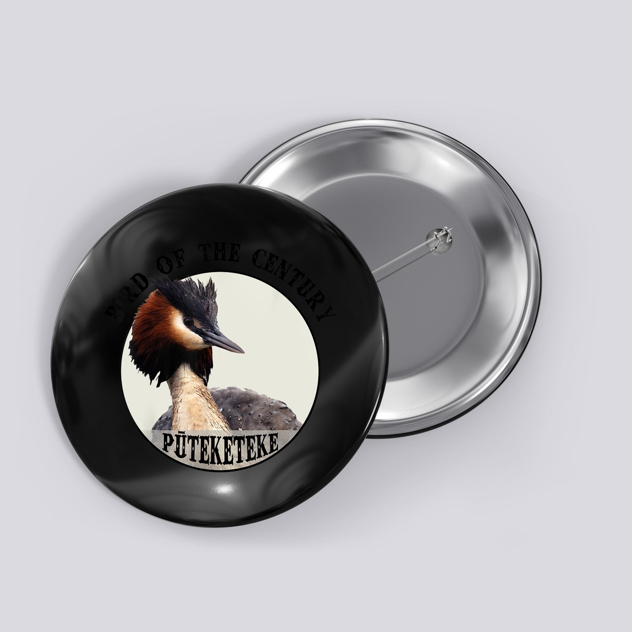 Cute Puteketeke New ZealandS Bird Of The Century Flower Button