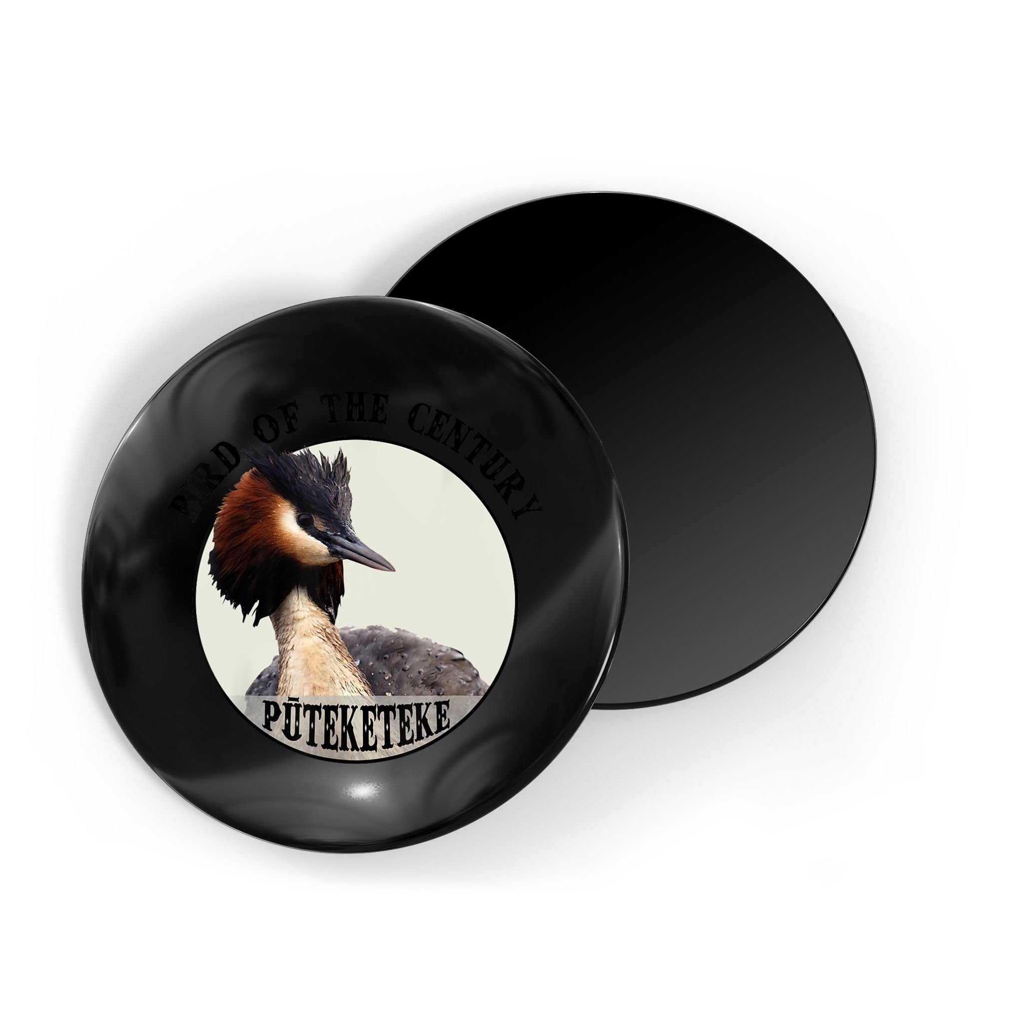 Cute Puteketeke New ZealandS Bird Of The Century Flower Magnet