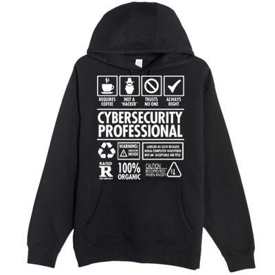 Cybersecurity Professional Not A Hacker Premium Pullover Hoodie