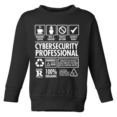 Cybersecurity Professional Not A Hacker Toddler Sweatshirt