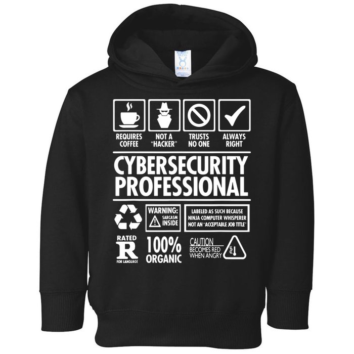 Cybersecurity Professional Not A Hacker Toddler Hoodie