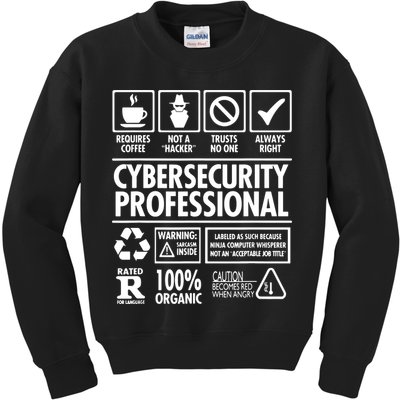 Cybersecurity Professional Not A Hacker Kids Sweatshirt