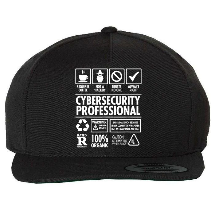 Cybersecurity Professional Not A Hacker Wool Snapback Cap