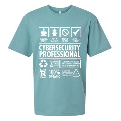 Cybersecurity Professional Not A Hacker Sueded Cloud Jersey T-Shirt