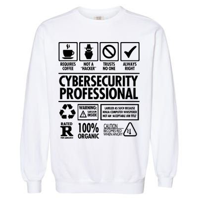 Cybersecurity Professional Not A Hacker Garment-Dyed Sweatshirt