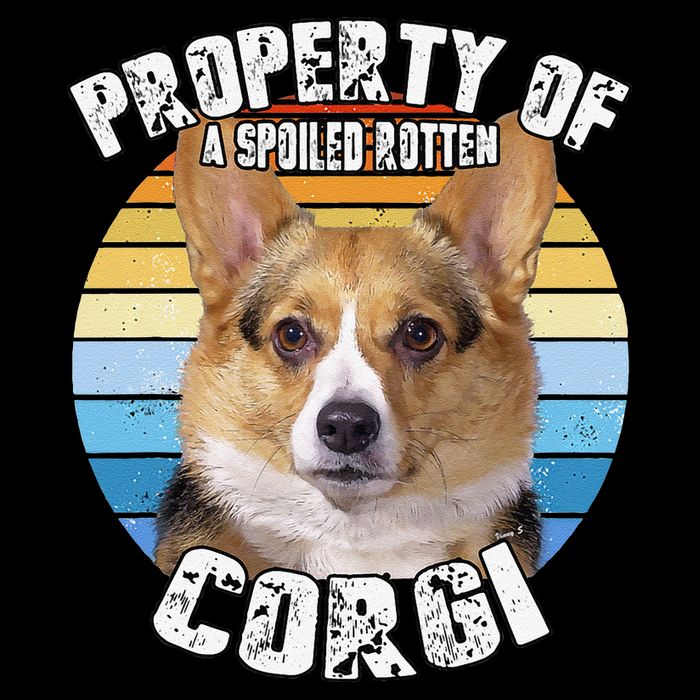 Corgi Property Of Retro Cute Dog Mug