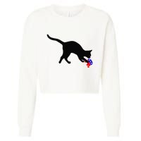 Cat Pouncing On Gop Elephant Cat Knocking Over Gop Elephant Cropped Pullover Crew