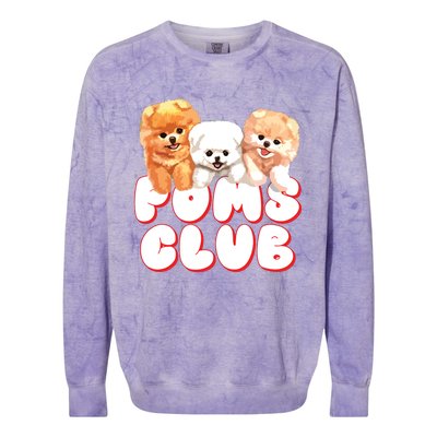 Cute Pomeranian Puppy Poms Club Baby Dog Colorblast Crewneck Sweatshirt