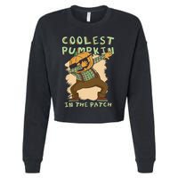 Coolest Pumpkin Patch Halloween Great Gift Cropped Pullover Crew