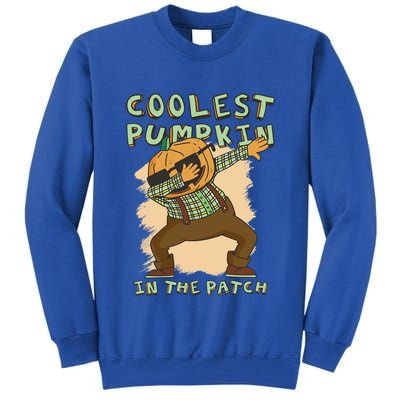 Coolest Pumpkin Patch Halloween Great Gift Tall Sweatshirt
