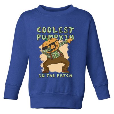 Coolest Pumpkin Patch Halloween Great Gift Toddler Sweatshirt