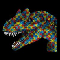 Complex Puzzle Problem Solver Gift 16 in Basic Backpack