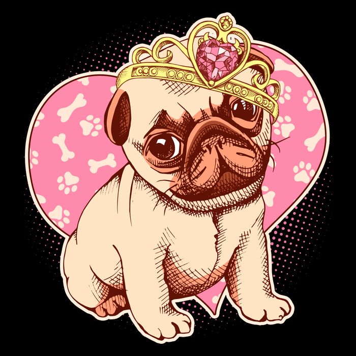 Cute Princess Pug Dog Wool Snapback Cap