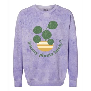 Cute Pilea Paperomiodes House Plant Botany Plants Lately Gift Colorblast Crewneck Sweatshirt