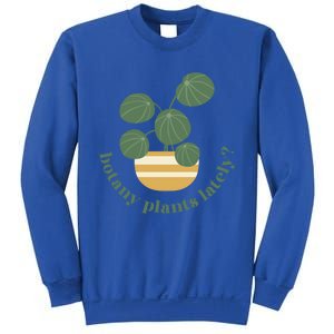 Cute Pilea Paperomiodes House Plant Botany Plants Lately Gift Sweatshirt