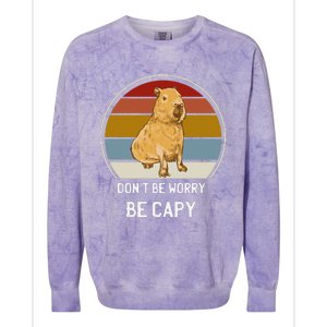 Capybara Peluches Party Peluche Capybara Big Capybara Plush Colorblast Crewneck Sweatshirt