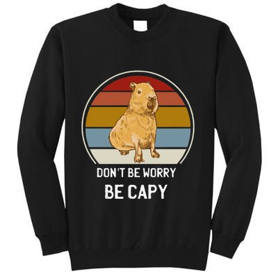Capybara Peluches Party Peluche Capybara Big Capybara Plush Sweatshirt