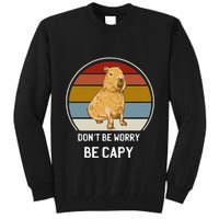 Capybara Peluches Party Peluche Capybara Big Capybara Plush Tall Sweatshirt