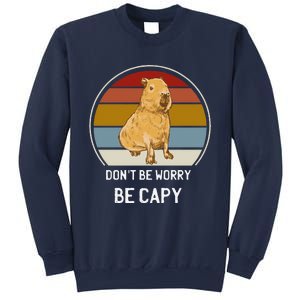 Capybara Peluches Party Peluche Capybara Big Capybara Plush Sweatshirt