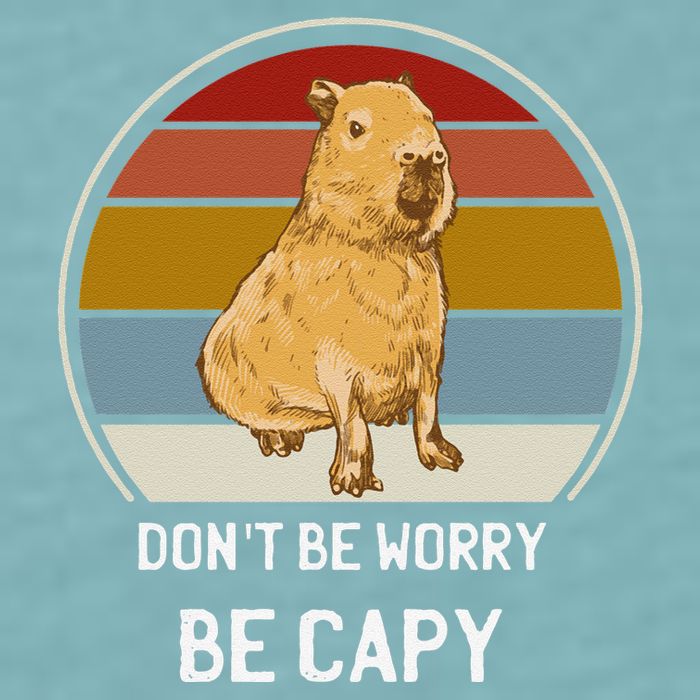 Capybara Peluches Party Peluche Capybara Big Capybara Plush Sueded Cloud Jersey T-Shirt