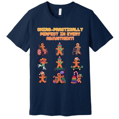 Chiro Practically Perfect In Every Adjustment Chiropractor Premium T-Shirt