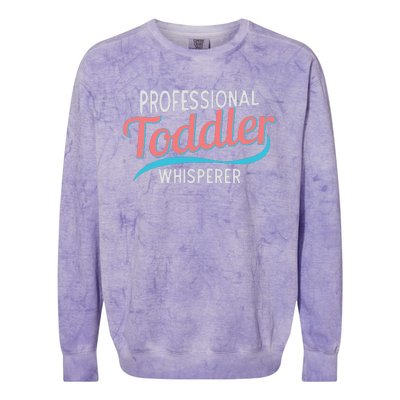 Childcare Provider Professional Whisperer Colorblast Crewneck Sweatshirt