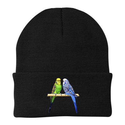 Colorful Parrots Parrot Birds Bird Lover Parakeets Beanie