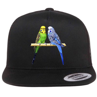 Colorful Parrots Parrot Birds Bird Lover Parakeets Flatbill Hat